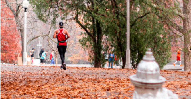 Active Aging: Exercises to Keep You Moving at Any Age image